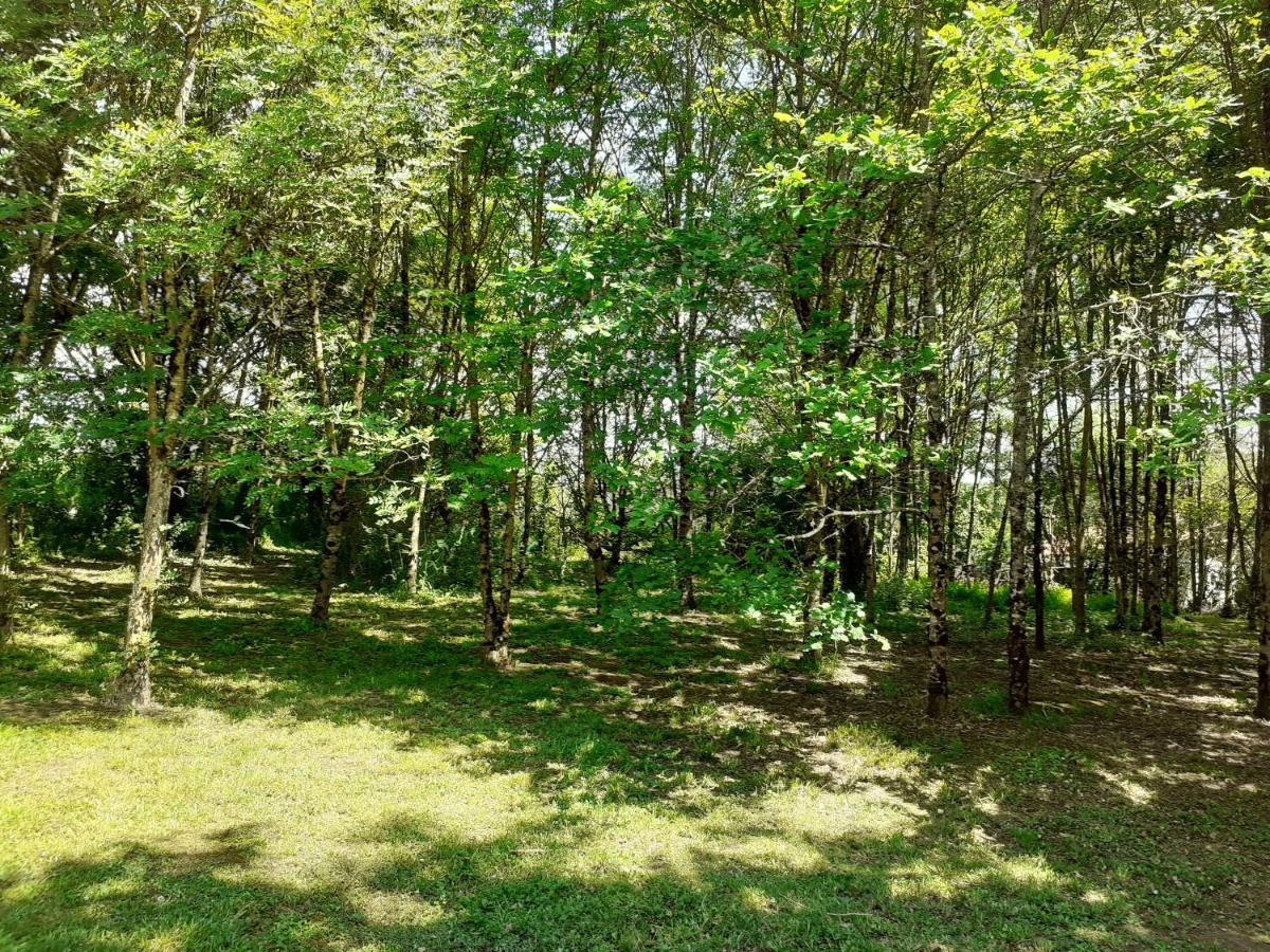 La Villa Le Petit Bois, Pres Rocamadour, Padirac Lavergne (Lot) Exterior foto
